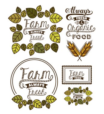 Organik gıda tasarım 