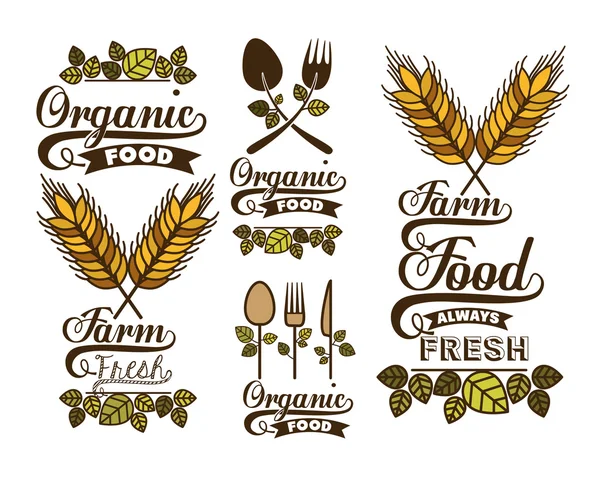 Conception d'aliments biologiques — Image vectorielle