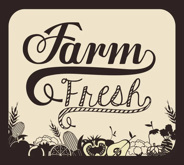 Organik gıda tasarım 