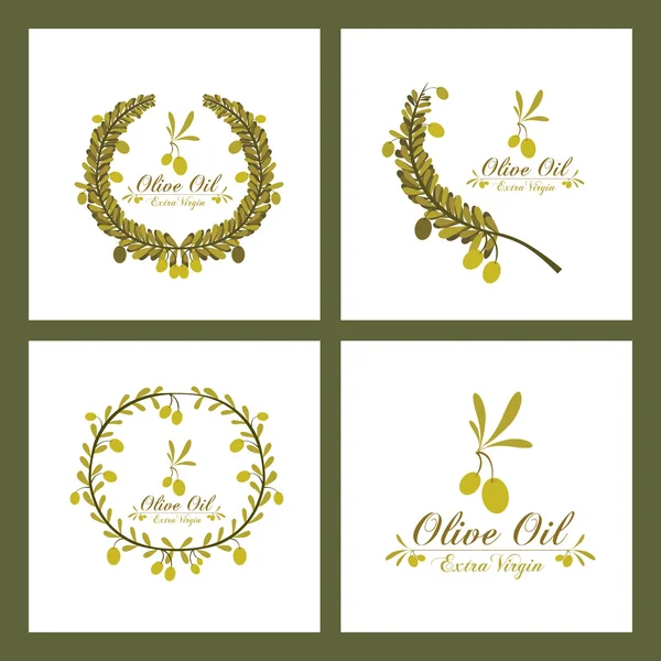 Projekt oliwy z oliwek — Wektor stockowy
