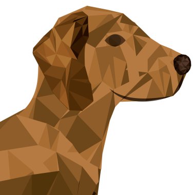 Hayvan baskı tasarımı