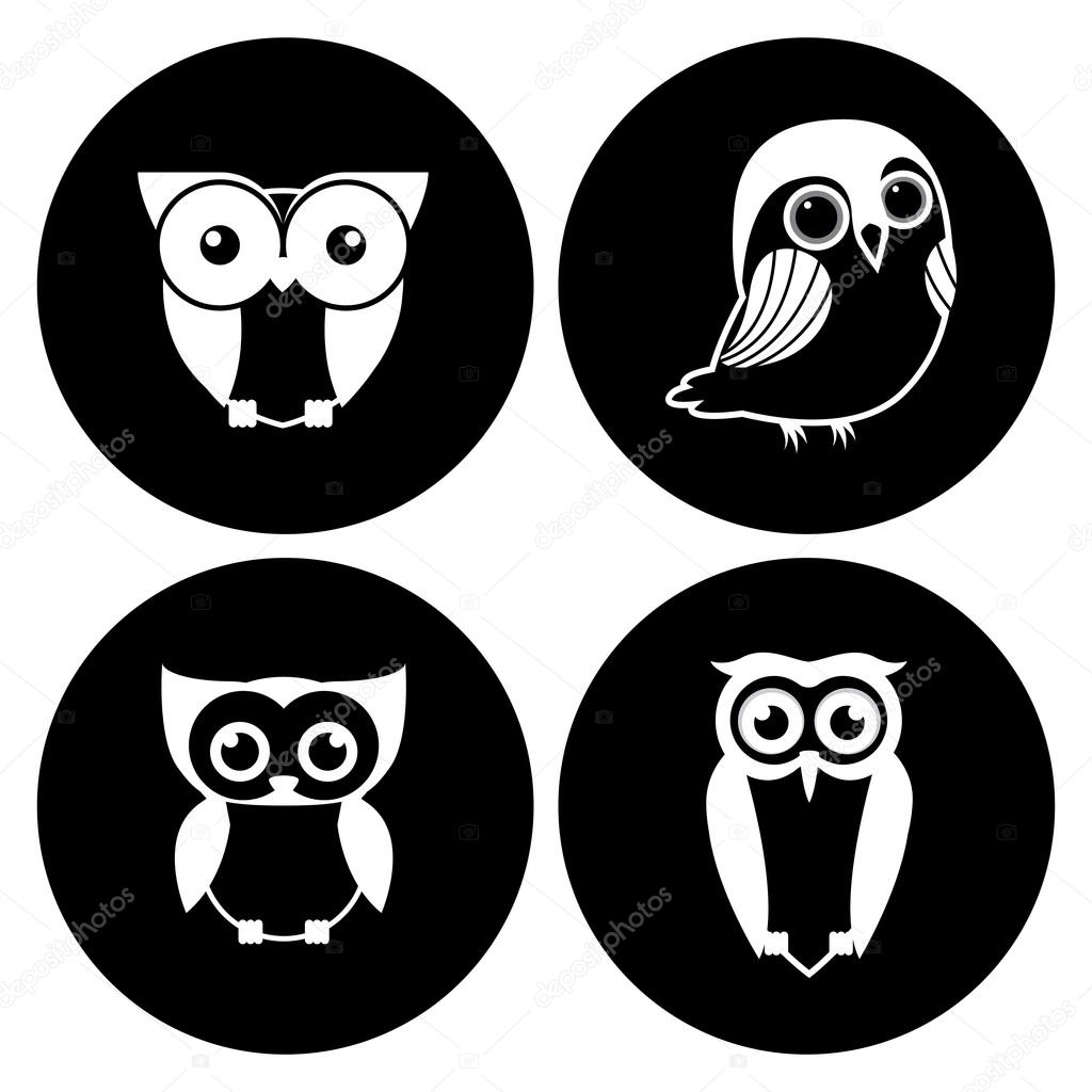 Owl design 