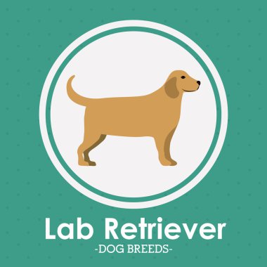 Evcil hayvan sevgi tasarım 