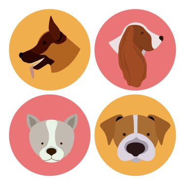 Evcil hayvan sevgi tasarım 