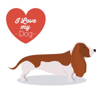 Evcil hayvan sevgi tasarım 