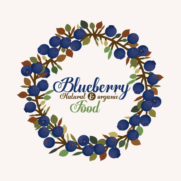 Blueberry Design — Stock Vector