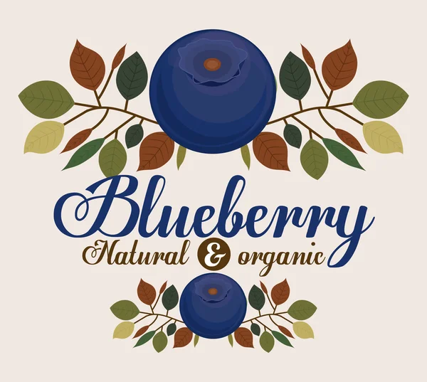 Blueberry design — Stock Vector
