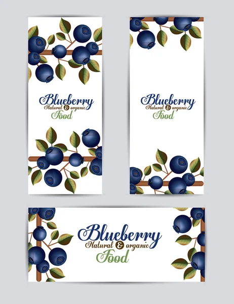 Blueberry design — Stock Vector