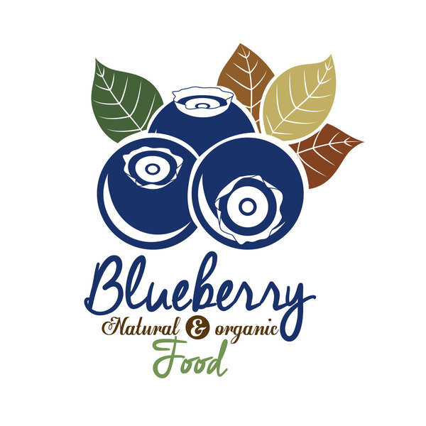 Blueberry design
