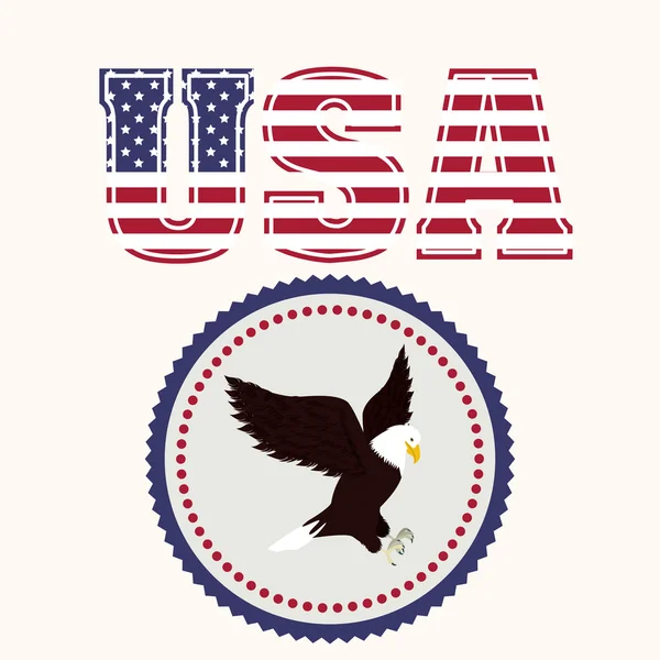 USA design — Stock Vector