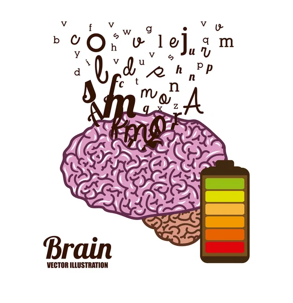 Hersenen ontwerp — Stockvector