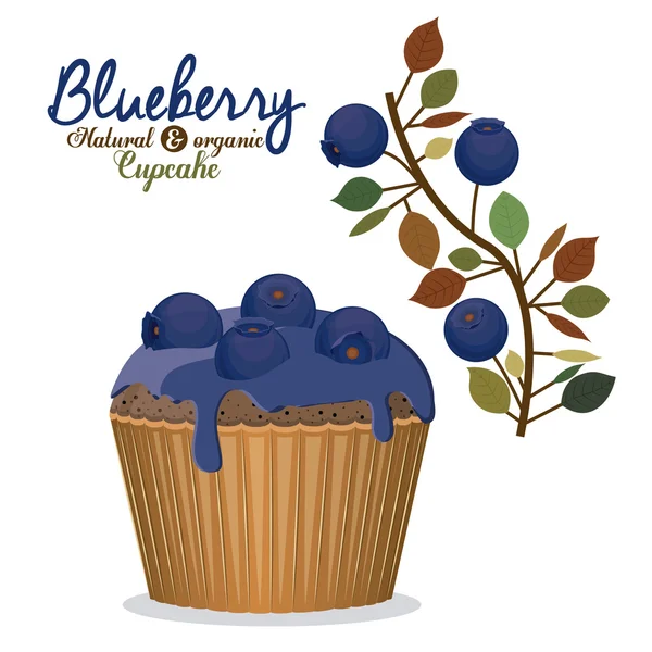 Blueberry design — Stock Vector