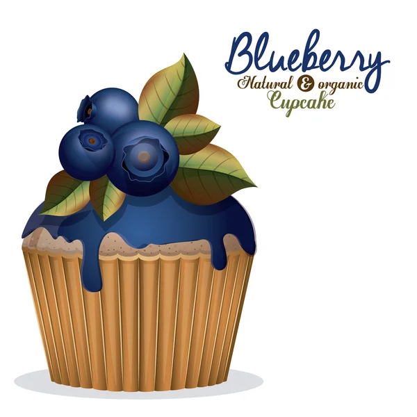 Blueberry design — Stock Vector