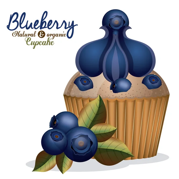 Blueberry design — Stock Vector