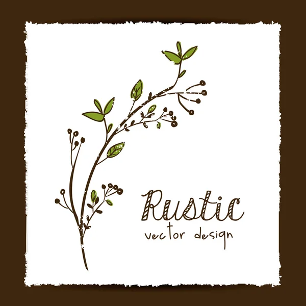 Rustic design — Stock Vector