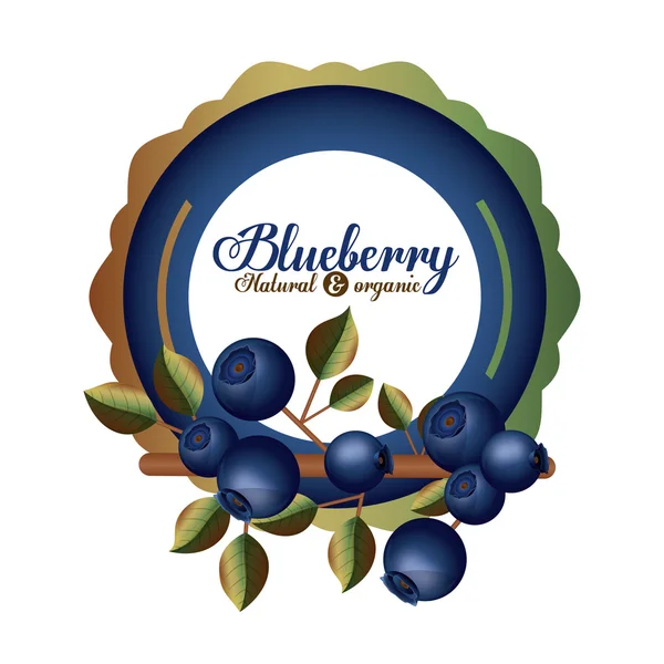 Blueberry design — Stock Vector