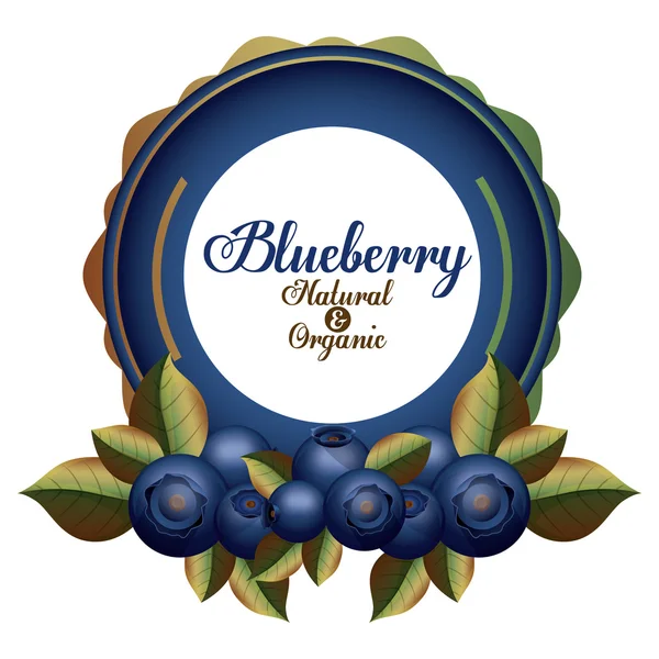 Blueberry Design — Stock Vector