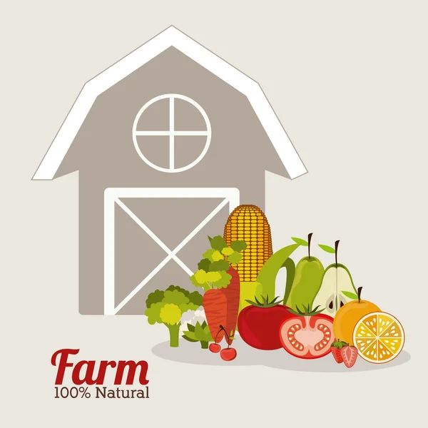 Farm design — Stock Vector