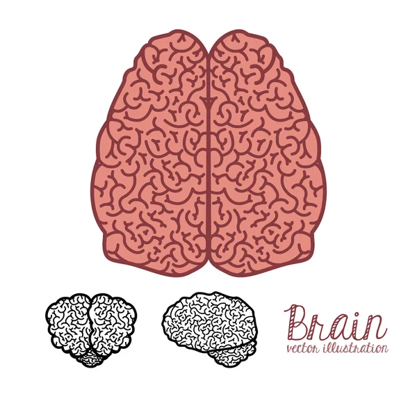 Progettazione del cervello — Vettoriale Stock