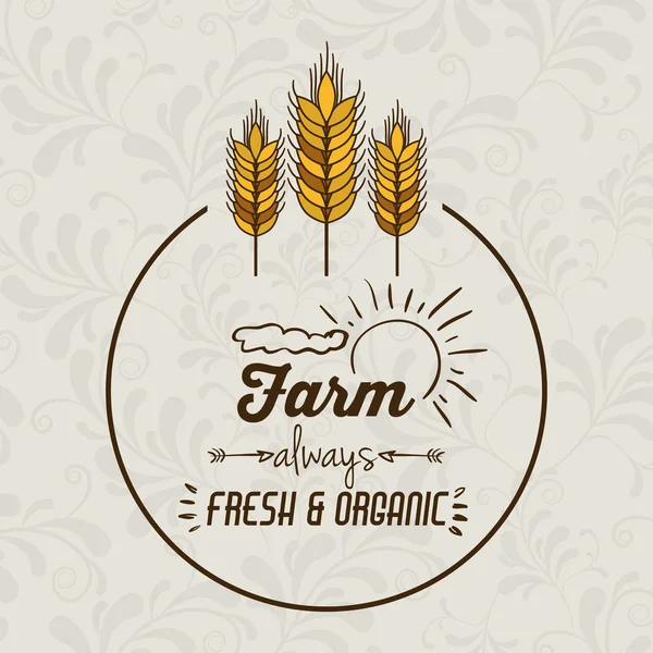 Granja Diseño de alimentos — Vector de stock