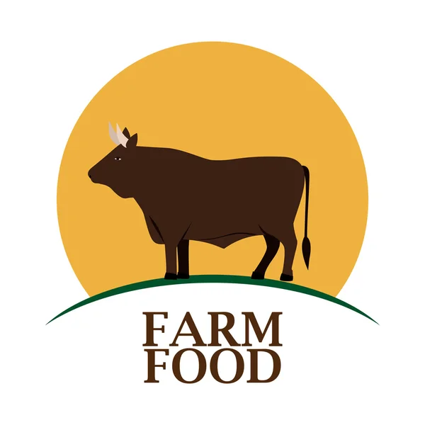 Concepção de alimentos agrícolas — Vetor de Stock