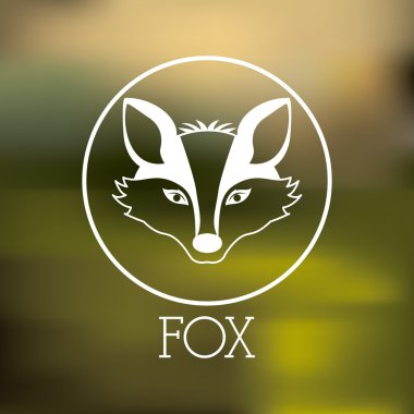 Fox tasarım