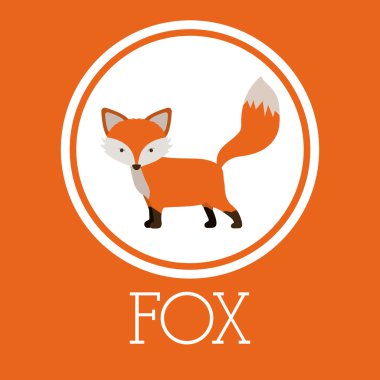 Fox tasarım