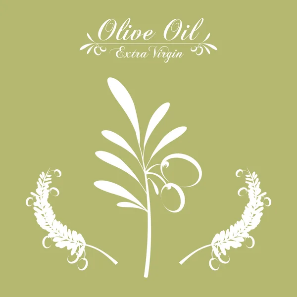 Olive Oil  design — Stock Vector