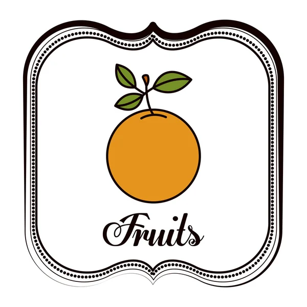 Diseño de frutas — Vector de stock