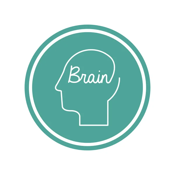 Gehirndesign — Stockvektor
