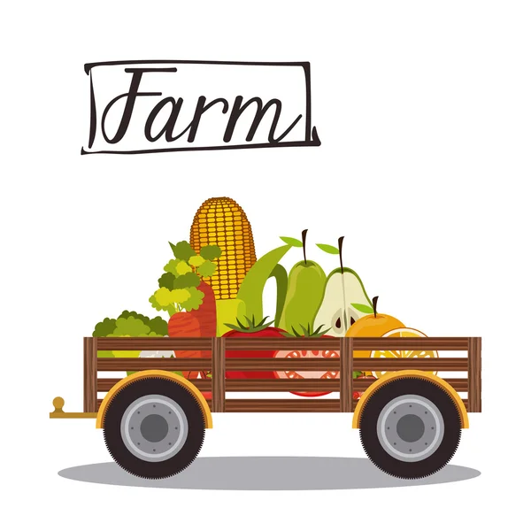 Granja Diseño de alimentos — Vector de stock