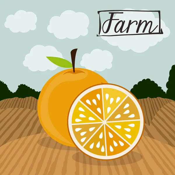 农场食品设计 — 图库矢量图片