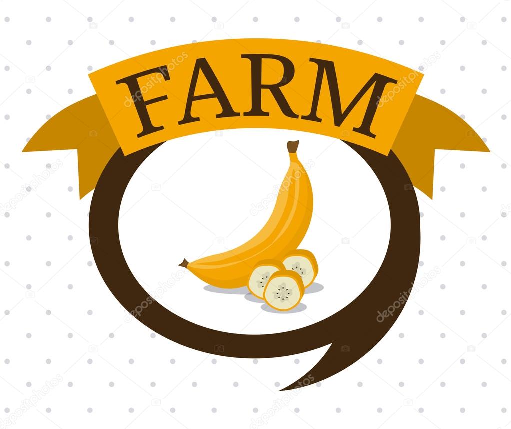 farm themed food ideas A Culinary Journey from Farm to Table farm themed food ideas A Culinary Journey from Farm to Table