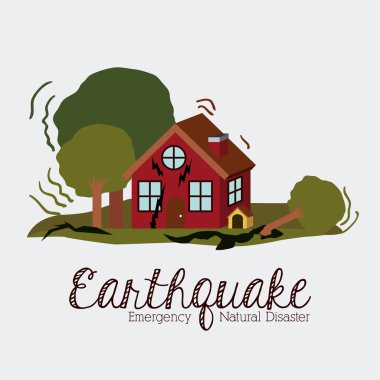 doğal afet tasarım