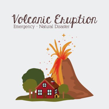 doğal afet tasarım