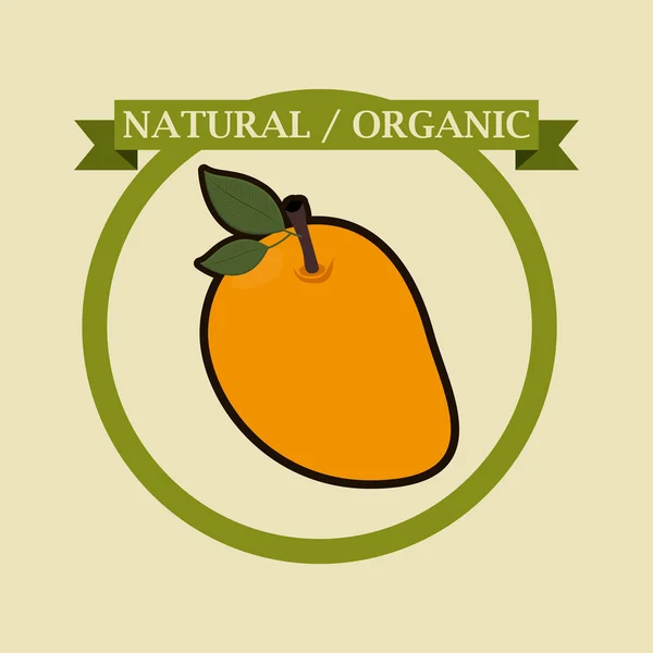 Alimentos orgánicos y saludables — Archivo Imágenes Vectoriales