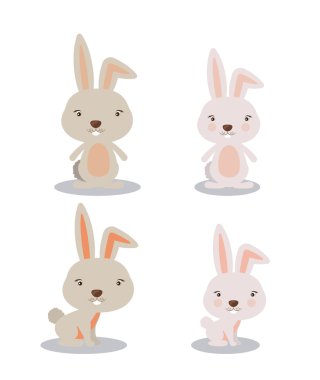 hayvan şirin tasarımı