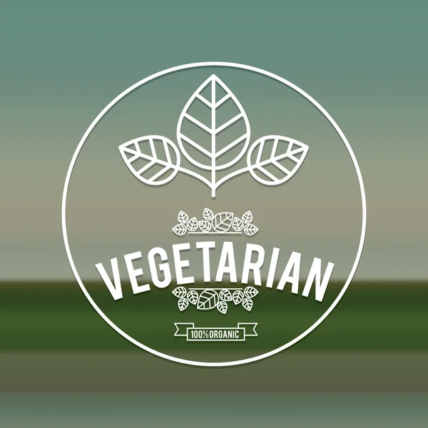 Vegetarische maaltijden-ontwerp — Stockvector