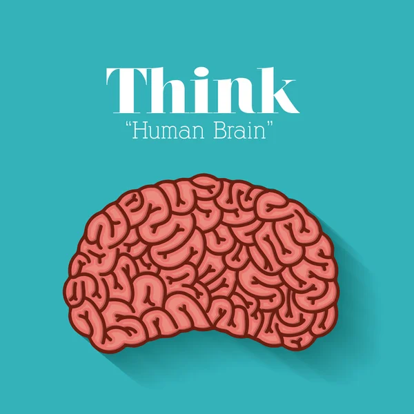 Σχεδιασμός ανθρώπινου εγκεφάλου — Διανυσματικό Αρχείο