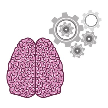 beyin düşünme tasarım