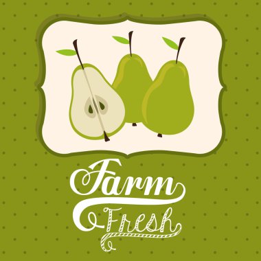 çiftlik taze gıda tasarım