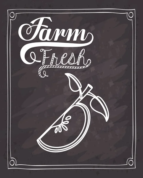 Diseño de alimentos frescos de granja — Vector de stock