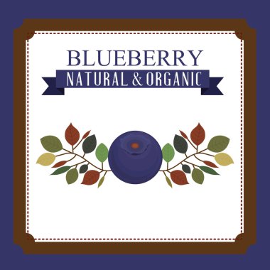 lezzetli blueberry tasarım