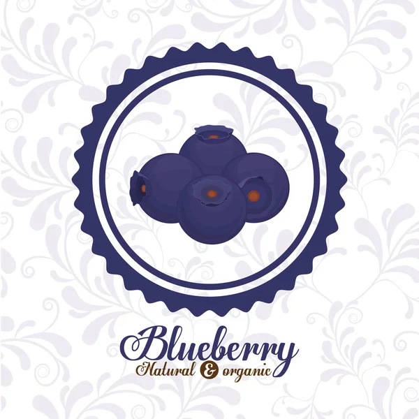 Blueberry-finom design — Stock Vector