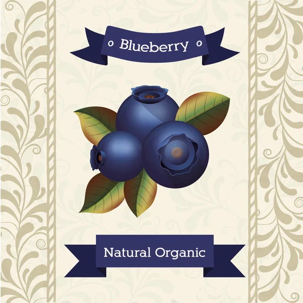 美味的蓝莓果设计 — 图库矢量图片