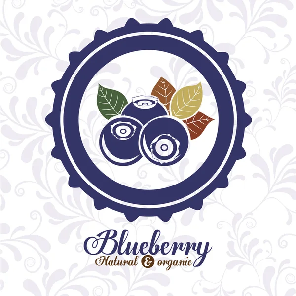 Blueberry-finom design — Stock Vector