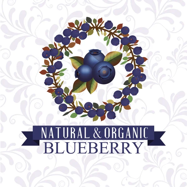美味的蓝莓果设计 — 图库矢量图片