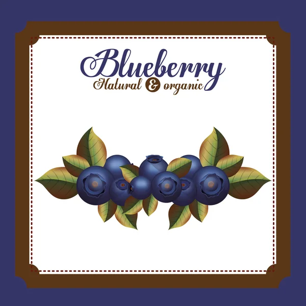 lezzetli blueberry tasarım