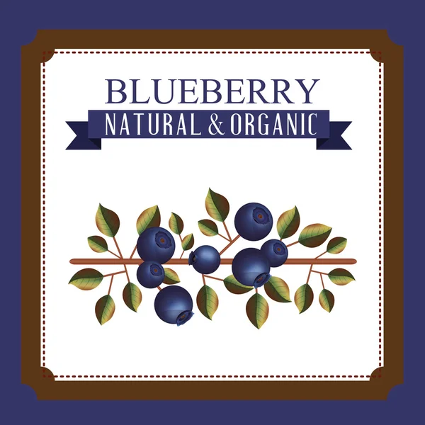 Delicious blueberry design — Stock Vector