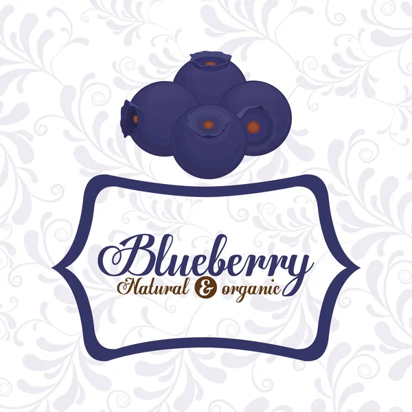 Delicious blueberry design — Stock Vector